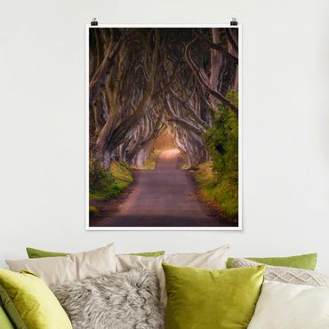 Poster - Tunnel dagli alberi - Verticale 4:3