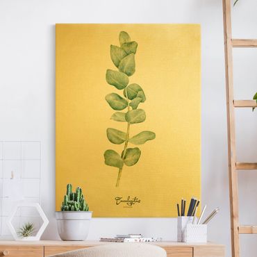 Quadro su tela oro - Botanica in acquerello eucalipto