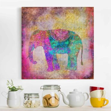 Stampa su tela - Colorato collage - Elefante indiano - Quadrato 1:1