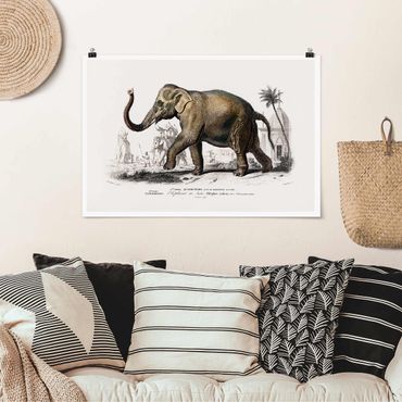 Poster - Vintage Consiglio Elephant - Orizzontale 2:3