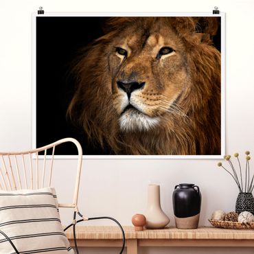 Poster - Lions sguardo - Orizzontale 3:4