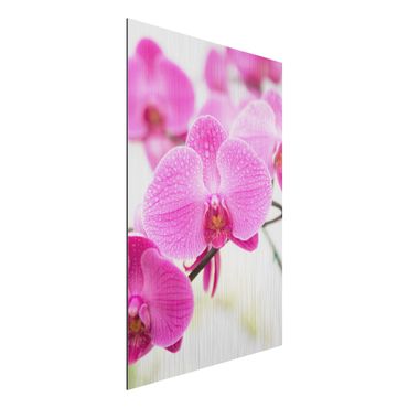 Quadro in alluminio - Close orchid