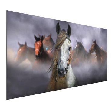Quadro in alluminio - Horses In The Dust