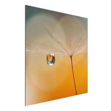 Quadro in alluminio - Dandelion In Orange