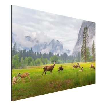 Quadro in alluminio - Deer In The Mountains