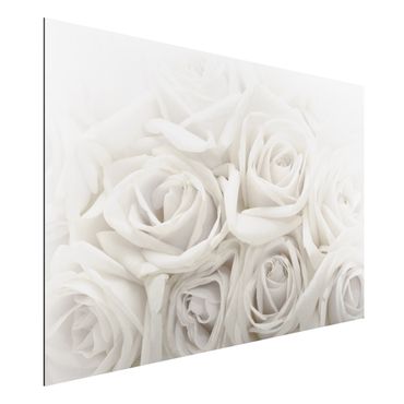 Quadro in alluminio - White Roses