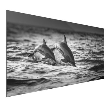 Quadro in alluminio - Due delfini che saltano