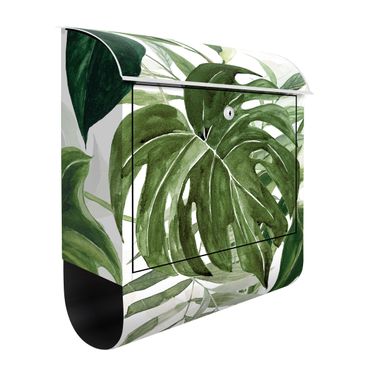 Cassetta postale - Arrangement tropicale con monstera in acquerello