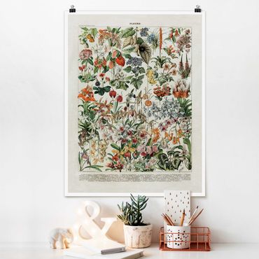Poster - Vintage Consiglio Flowers III - Verticale 4:3