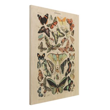 Stampa su legno - Vintage Consiglio farfalle e falene - Verticale 4:3