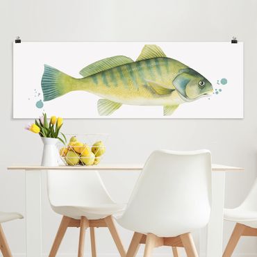 Poster - ColorCatch - Perch - Panorama formato orizzontale
