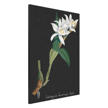 Lavagna magnetica - White Orchid su lino II - Formato verticale 2:3