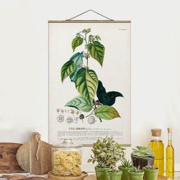 Foto su tessuto da parete con bastone - Vintage botanica cacao - Verticale 3:2