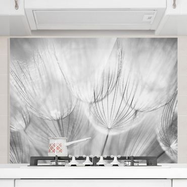 Paraschizzi in vetro - Dandelions Macro Shot In Black And White