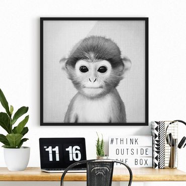 Poster con cornice - Scimmietta Anton in bianco e nero