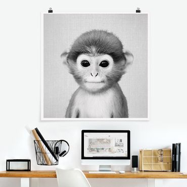 Poster riproduzione - Scimmietta Anton in bianco e nero
