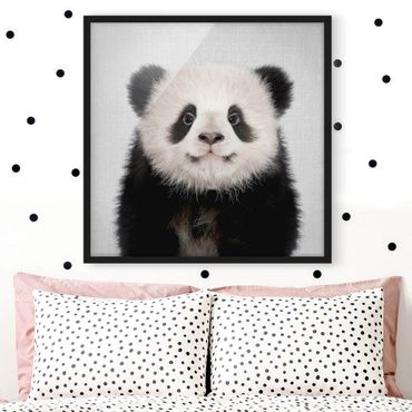 Poster con cornice - Piccolo panda Prian