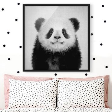 Poster con cornice - Piccolo panda Prian in bianco e nero
