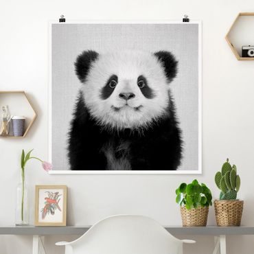 Poster riproduzione - Piccolo panda Prian in bianco e nero