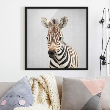 Poster con cornice - Piccola zebra Zoey