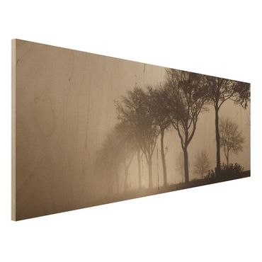 Stampa su legno - Viale alberato nella nebbia mattutina