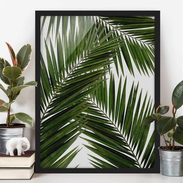 Poster con cornice - Scorcio tra foglie di palme verdi