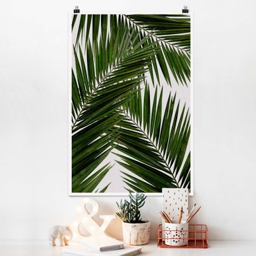 Poster - Scorcio tra foglie di palme verdi