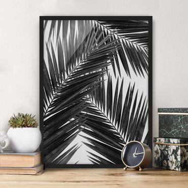 Poster con cornice - Scorcio tra foglie di palme in bianco e nero