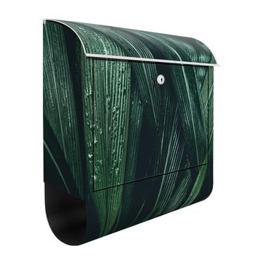 Cassetta postale - Green Palm Leaves 39x46x13cm