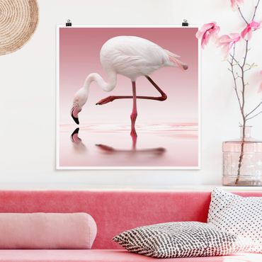 Poster - Flamingo danza - Quadrato 1:1