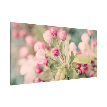 Lavagna magnetica - Apple Blossom rosa bokeh - Panorama formato orizzontale