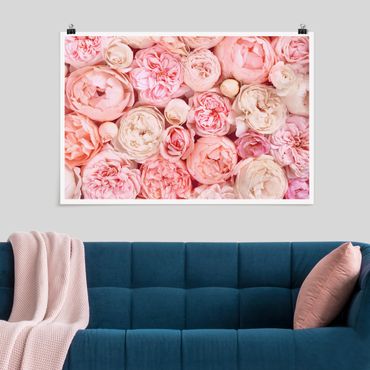 Poster - Rose Rose Coral Shabby - Orizzontale 2:3