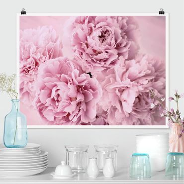 Poster - Peonie rosa - Orizzontale 3:4