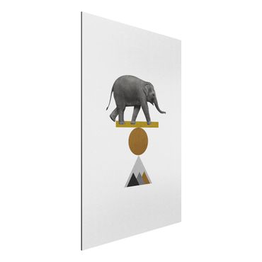 Stampa su alluminio - Elefante nell'arte dell'equilibrio