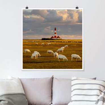 Poster - Mare del Nord Faro con Sheepherd - Quadrato 1:1