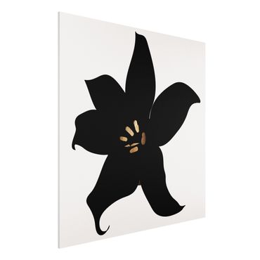Stampa su Forex - Mondo vegetale grafico - Orchidea in nero e oro - Quadrato 1:1