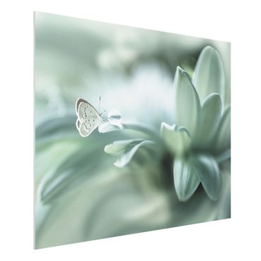 Quadro in forex - Farfalla E Gocce di rugiada In Pastel Verde - Orizzontale 4:3