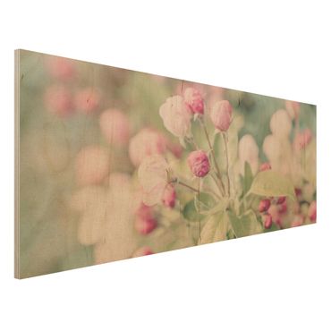Stampa su legno - Apple Blossom rosa bokeh - Panoramico