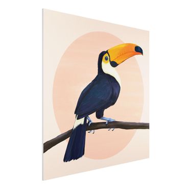 Stampa su Forex - Illustrazione Uccello Toucan pastello pittura - Quadrato 1:1