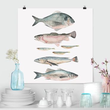 Poster - Sette pesce in acqua di colore II - Quadrato 1:1