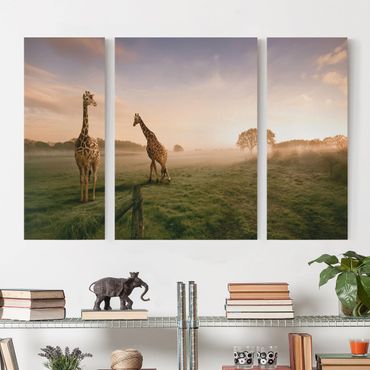 Stampa su tela 3 parti - Surreal Giraffes - Trittico