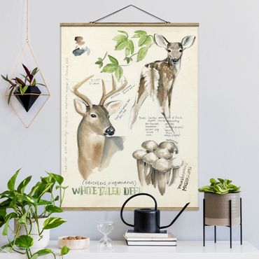 Foto su tessuto da parete con bastone - Wilderness Journal - Deer - Verticale 4:3