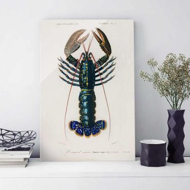 Quadro in vetro - Vintage Blue Board Lobster - Orizzontale 2:3