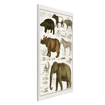 Lavagna magnetica - Vintage Consiglio elefanti, zebre e Rhino - Formato verticale 4:3