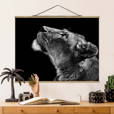 Foto su tessuto da parete con bastone - Ritratto di una leonessa - Orizzontale 3:4