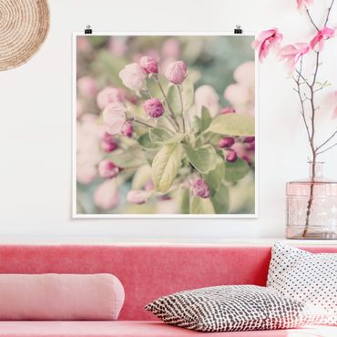 Poster - Apple Blossom rosa bokeh - Quadrato 1:1