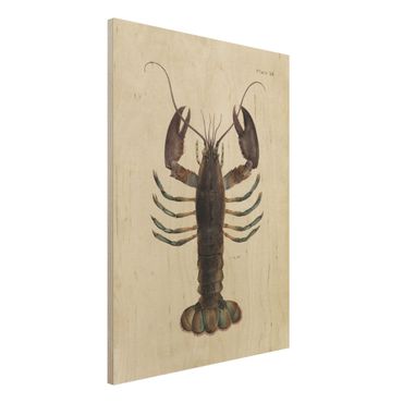 Stampa su legno - Vintage Illustrazione Lobster - Verticale 4:3