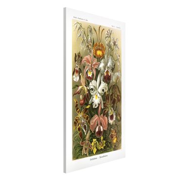 Lavagna magnetica - Consiglio Orchid Vintage - Formato verticale 4:3