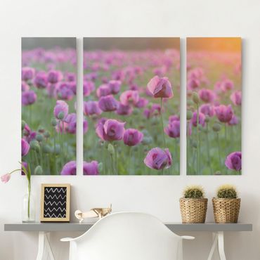 Stampa su tela 3 parti - Purple Poppy Flower Meadow In Spring - Trittico