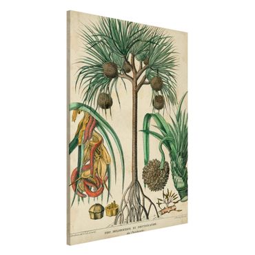 Lavagna magnetica - Consiglio Vintage Exotic Palms I - Formato verticale 2:3